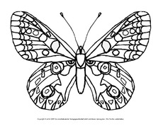 Ausmalbild-Schmetterling 3.pdf